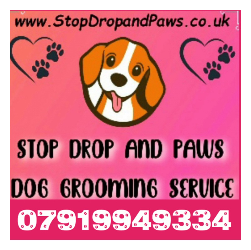 Stop Drop and Paws