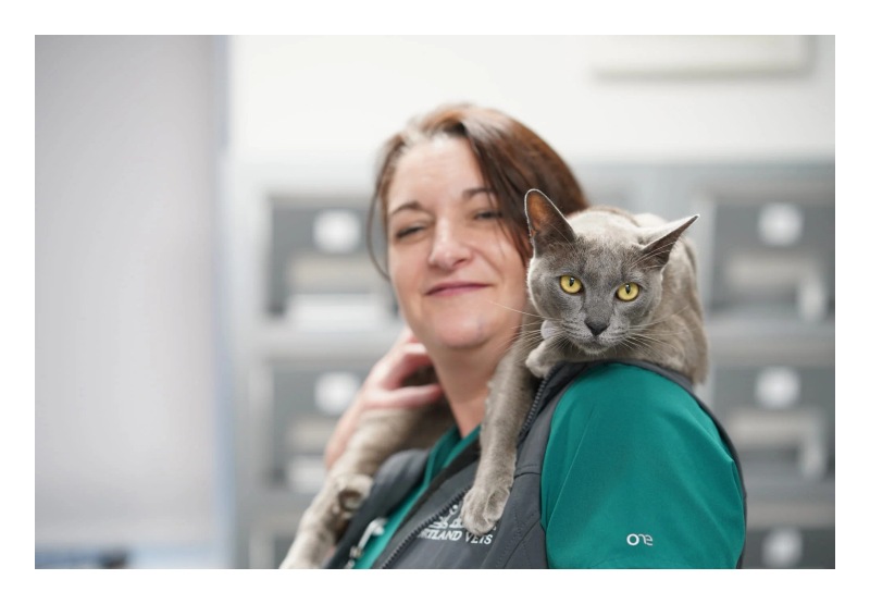 Portland Vets Crawley